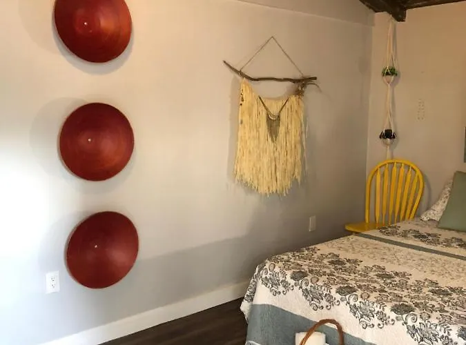 Private And Secluded Studio In Little Havana - 6V Miami acceptant les animaux