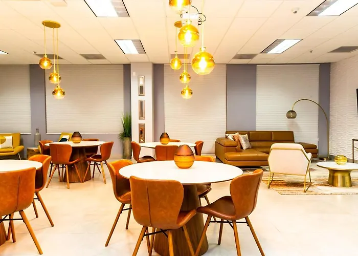 Top Stay Miami Gold Brickell admite animales