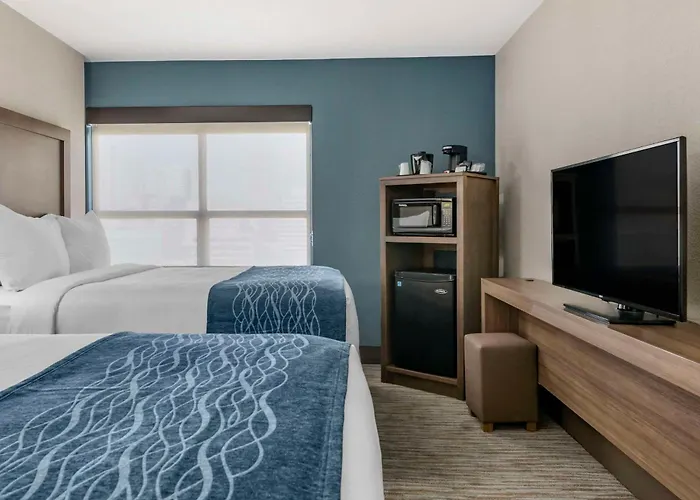 Comfort Inn & Suites Downtown Brickell-Port Of Miami